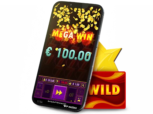 Mega Wins