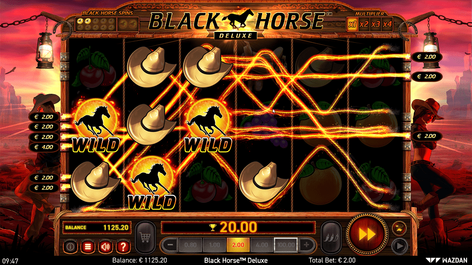 Wild Symbol