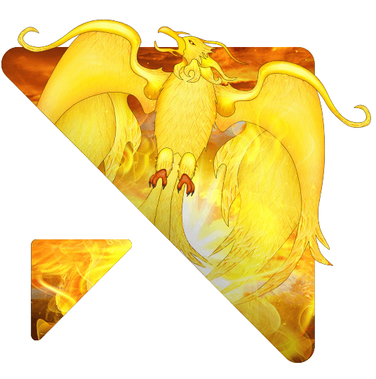 Fenix Play Deluxe