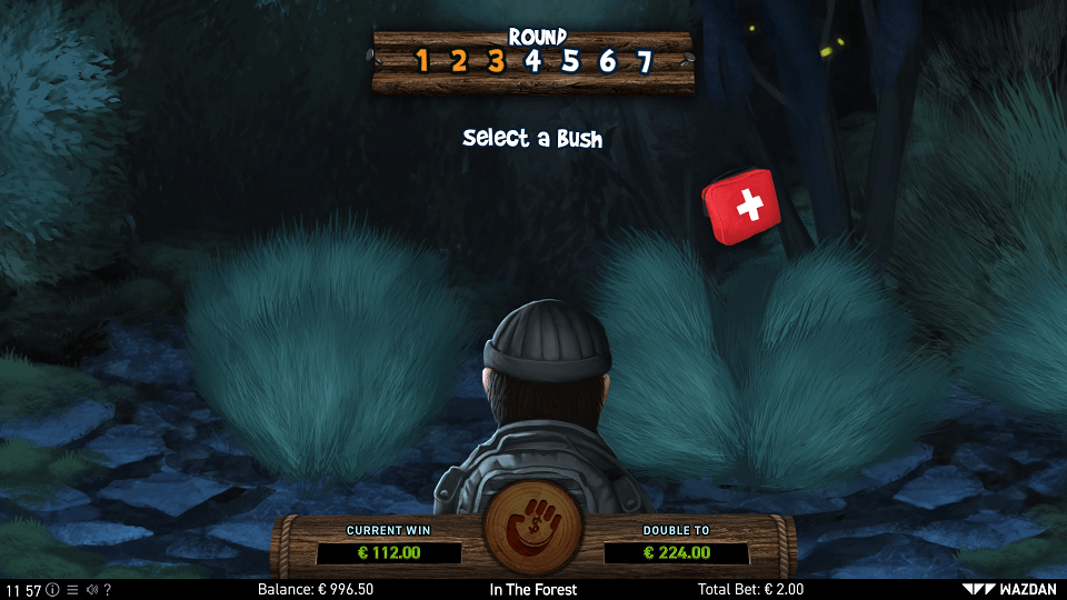 Unique Gamble Feature
