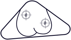 reason image